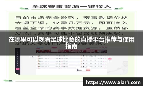 在哪里可以观看足球比赛的直播平台推荐与使用指南