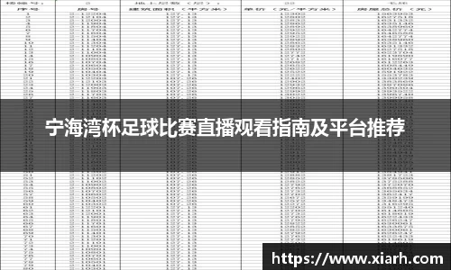 宁海湾杯足球比赛直播观看指南及平台推荐